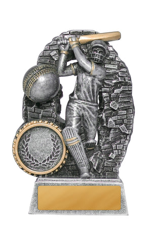 Crash Through Cricket Batter Male Trophy - eagle rise sports