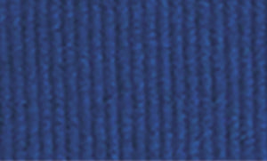 Blue Ribbon - eagle rise sports