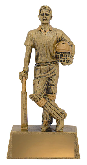 Hero Batsman Trophy - eagle rise sports