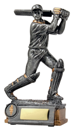 Cricket Batsman