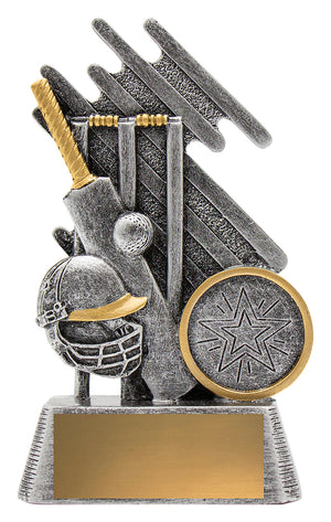 Zoom Cricket Theme Trophy - eagle rise sports
