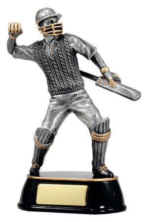 Cricket Celebration Trophy - eagle rise sports