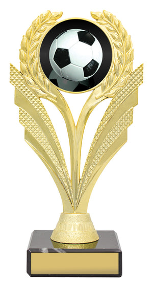Football Target trophy - eagle rise sports
