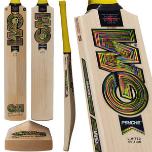 S25 GM PSYCHE 404 JUNIOR CRICKET BAT