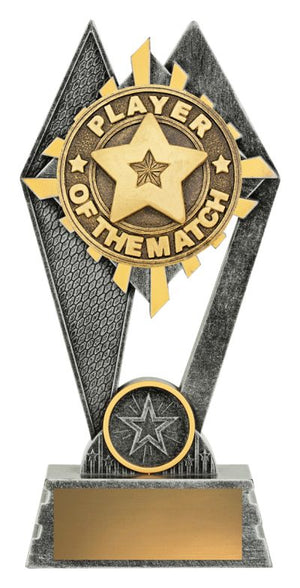 Peak Player of the Match trophy - eagle rise sports