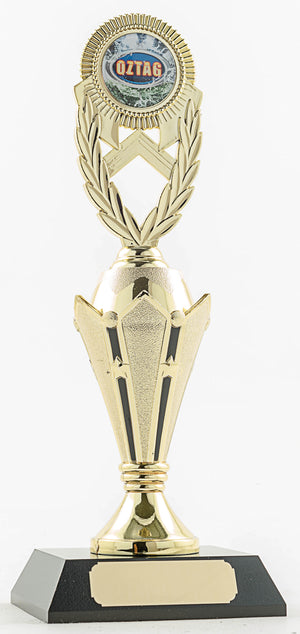 Rugby Trophy - eagle rise sports