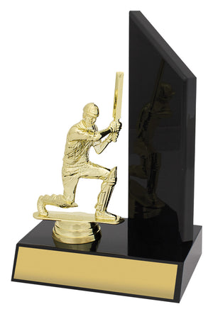 Cricket Gloss Black Wing trophy - eagle rise sports