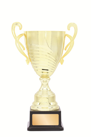 Metal Cup Trophy - eagle rise sports
