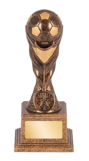 Football Trophy – 25mm Insert - eagle rise sports