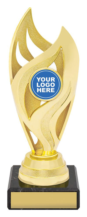 Vision Cup Gold / Silver Football - eagle rise sports