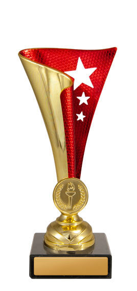 Epic Cup - eaglerisesports