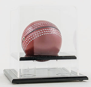 Corporate Award - eagle rise sports