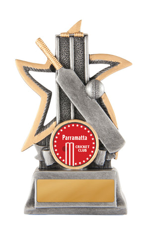 Silver Star - Cricket trophy - eagle rise sports