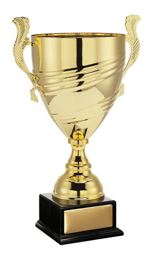 Roma cup - eagle rise sports