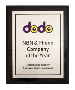 Colour - Satin Silver / Black