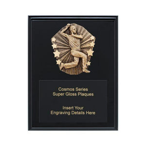 Cosmos Super Plaque - Male Bowler