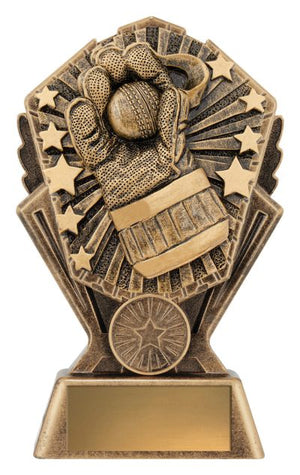 Cosmos Wicketkeeper - eagle rise sports