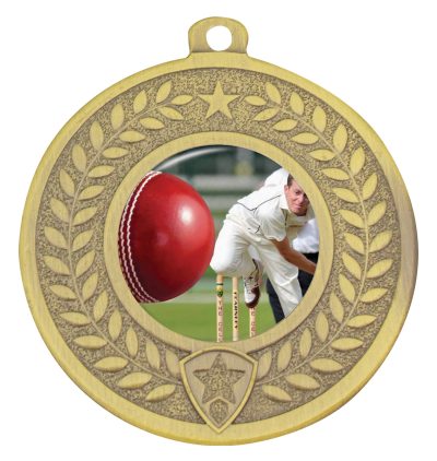 Distinction Cricket Bowling Medal