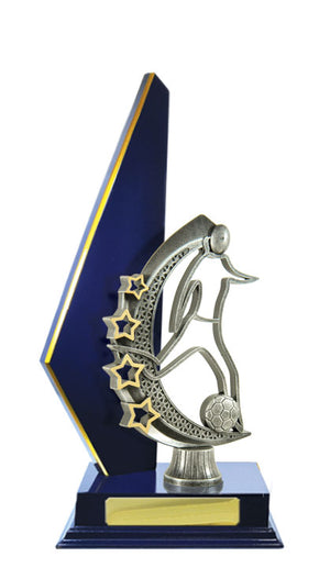 Timber Buildup Football trophy - eagle rise sports