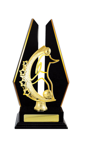 Timber Buildup Football Male trophy -eagle rise sports