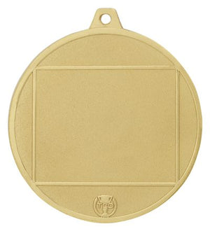 Glacier Medal