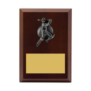 Plaque - Male Batting - eagle rise sports
