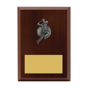 Plaque - Male Bowling - eagle rise sports