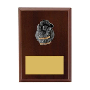 Plaque - Wicketkeeper - eagle rise sports