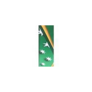 Ribbon - Green & Gold Stars - eagle rise sports