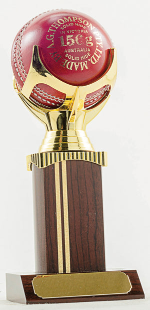 Ball Cricket Trophy