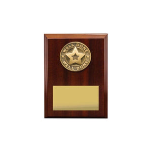 Well Done plaque - eagle rise sports