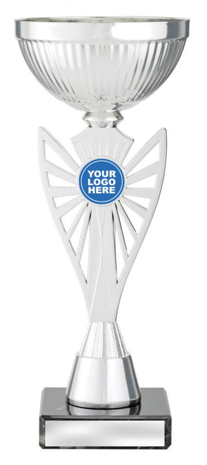 Silver Gemini cup - eagle rise sports