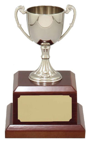 Classic Nickle Plated cup