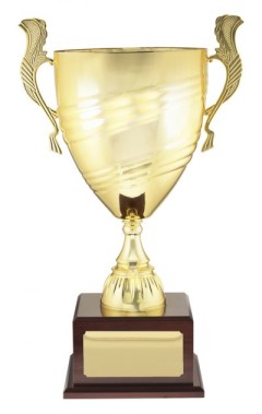 Value Prestige cup gold - eagle rise sports