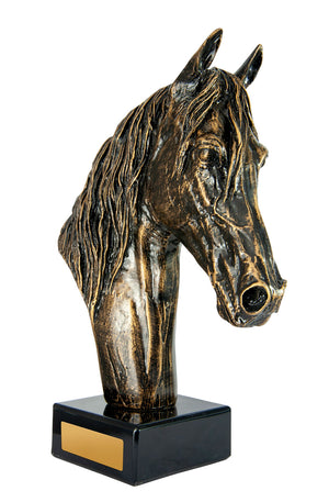 Horsehead_Trophies 