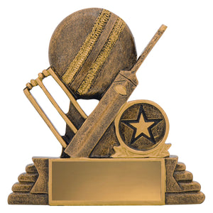 Budget Icon Trophy - eagle rise sports