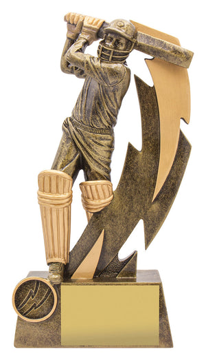 Shazam Batsman Trophy - eagle rise sports