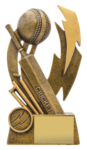 Cricket Shazam Trophy - eagle rise sports