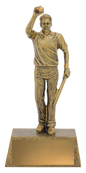 Hero Bowler trophy - eagle rise sports