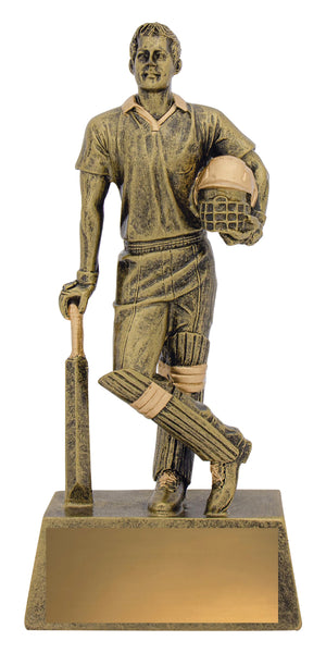 Hero Batsman Trophy - eagle rise sports