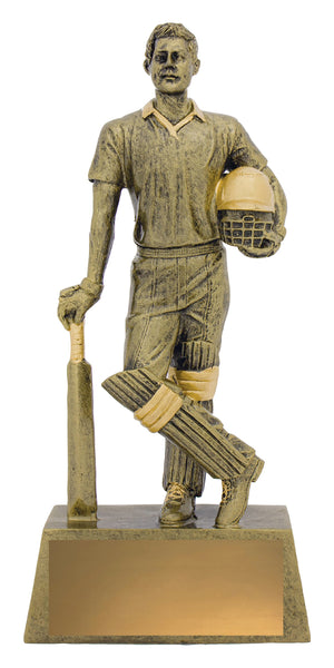 Hero Batsman Trophy - eagle rise sports