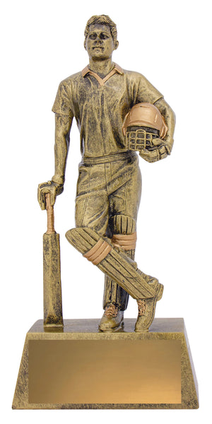Hero Batsman Trophy - eagle rise sports