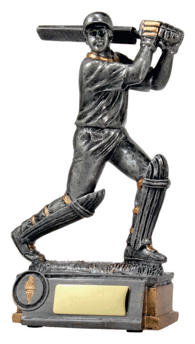 Cricket Batsman