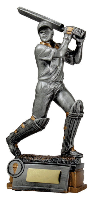 Cricket Batsman