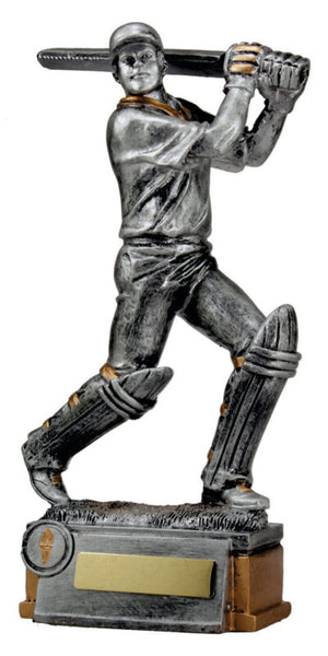Cricket Batsman