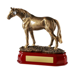 Horse_Standing_Horse_Trophies 