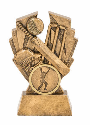 Hawk Series Trophy - eagle rise sports