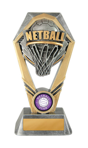 Hex Tower Netball