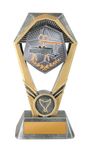 Hex_Tower_Gym_Gymnastics_Trophies 