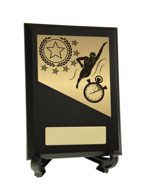 Plaque-with-Swimming-Trim-Trophies 